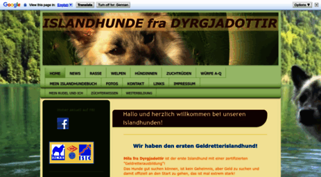 islandhunde-hessen.de