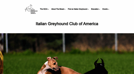 italiangreyhound.org
