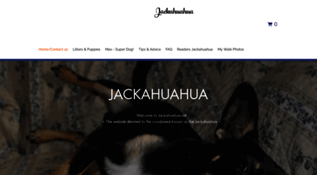 jackahuahua.net