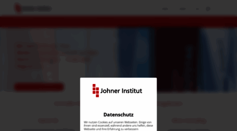 johner-institut.de