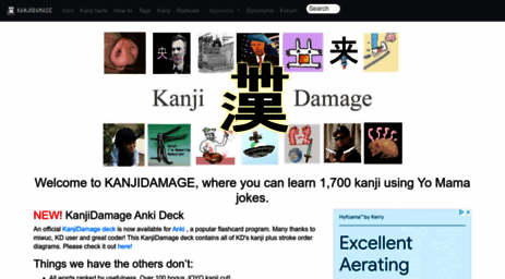 kanjidamage.com