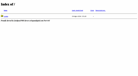 kapandigital.com