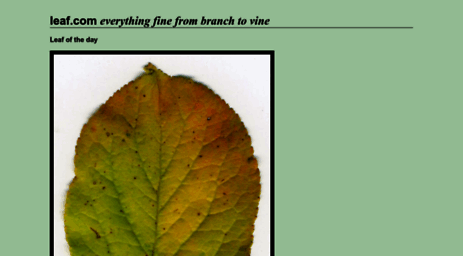 leaf.com