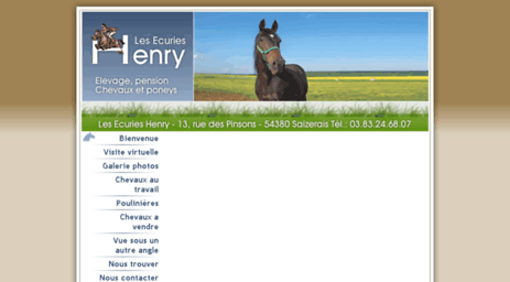 les-ecuries-henry.com