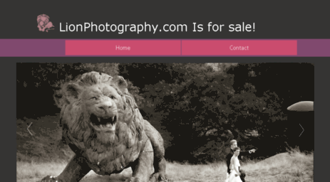 lionphotography.com