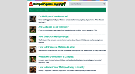 maltipoopuppies.org