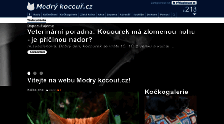 modrykocour.cz