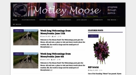 motleymoose.com