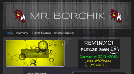 mrborchik.synthasite.com