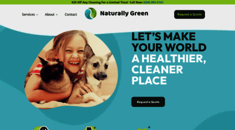 naturallygreencleaning.com