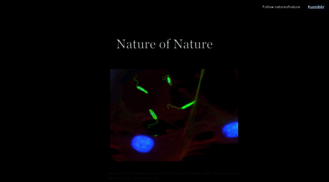natureofnature.tumblr.com