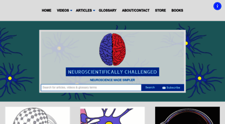 neuroscientificallychallenged.com