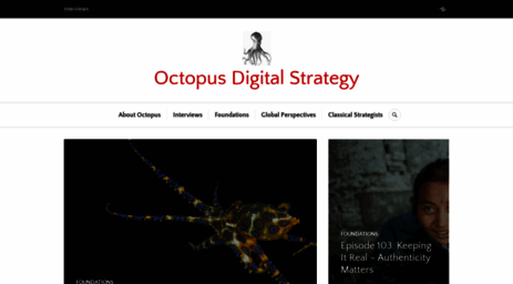 octopusdigitalstrategy.net