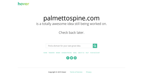 palmettospine.com