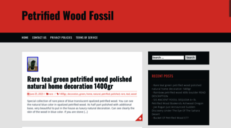 petrifiedwoodfossil.com