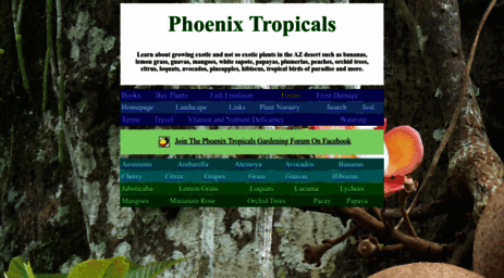 phoenixtropicals.com