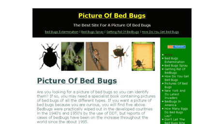 pictureofbedbugs.com