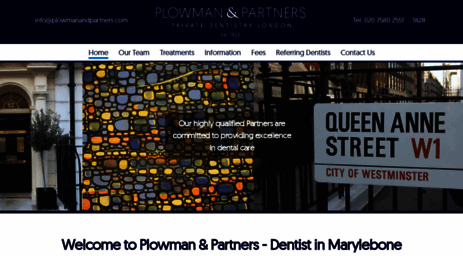 plowmanandpartners.com