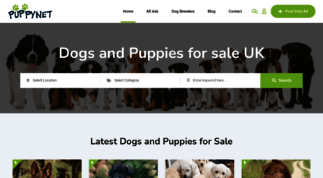 puppies-or-dogs.com