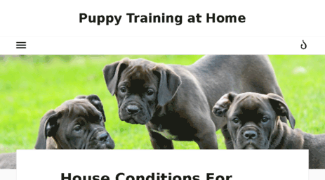 puppy-training-at-home.com