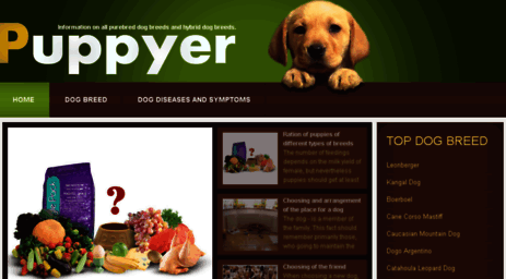 puppyer.com