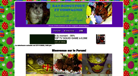 rat-rongetout-et-cie.forums-actifs.com