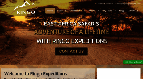 ringoexpeditions.com