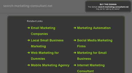 search-marketing-consultant.net