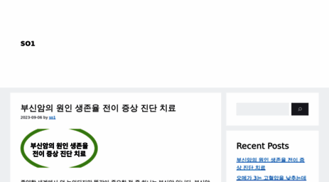so1.kr
