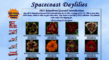 spacecoastdaylilies.com