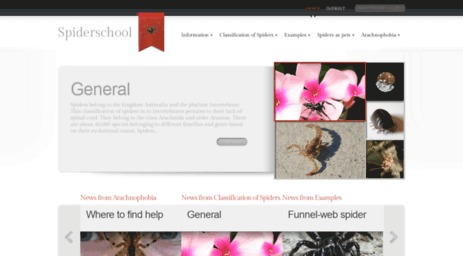 spiderschool.org