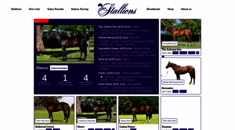 stallions.com.au