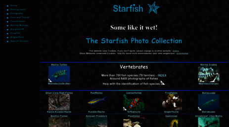 starfish.ch