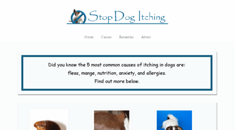 stopdogitching.com