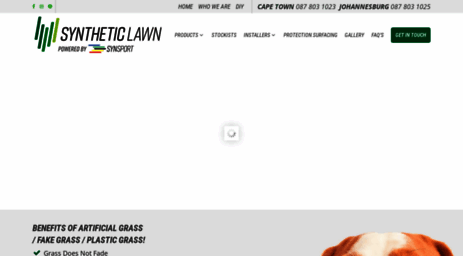 syntheticlawn.co.za