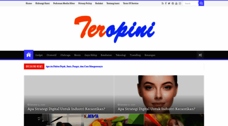 teropini.com