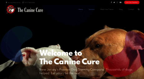the-canine-cure.com
