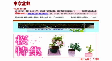 tokyo-bonsai.com