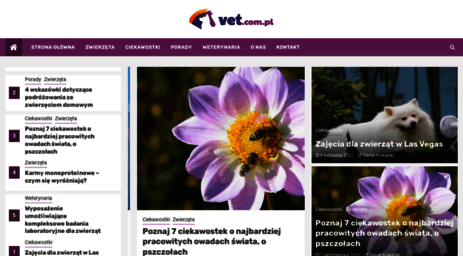 vet.com.pl