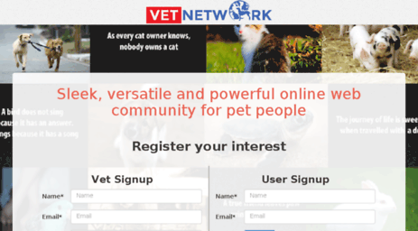 vetnetwork.com.au