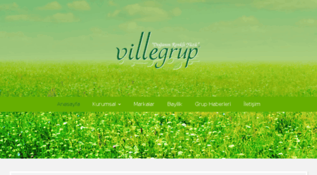 villegrup.com
