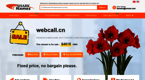 webcall.cn