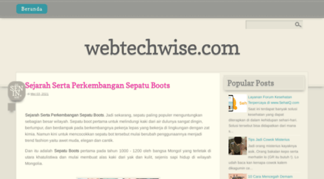 webtechwise.com