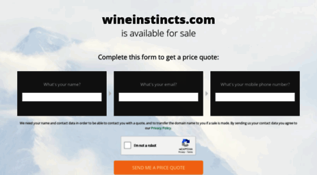 wineinstincts.com