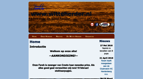 witteherder.nl