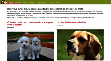 wwww.chiens-chats.be