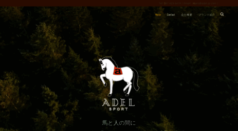 adel-jp.com