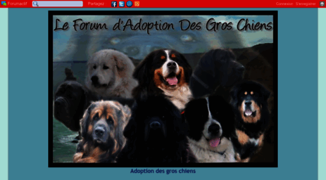 adoptiongroschiens.com