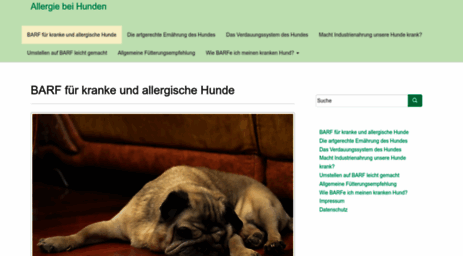 allergie-bei-hunden.de