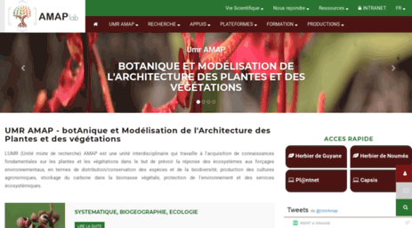 amap.cirad.fr